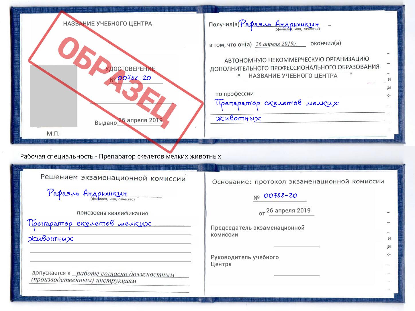Препаратор скелетов мелких животных Новороссийск