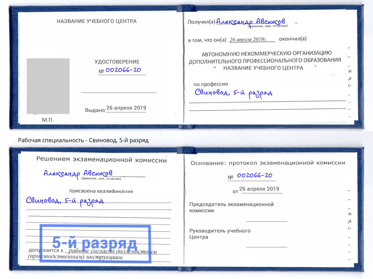 корочка 5-й разряд Свиновод Новороссийск